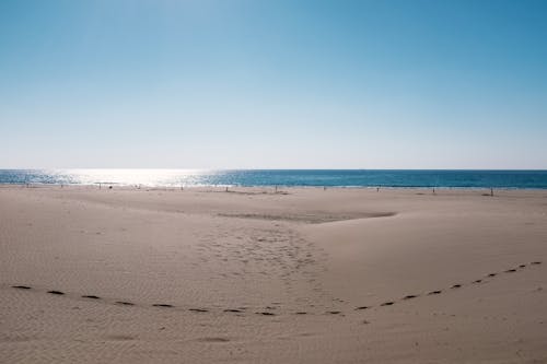 Imagine de stoc gratuită din coastă, concediu, faleză