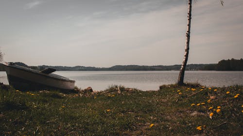 Boat next to the water