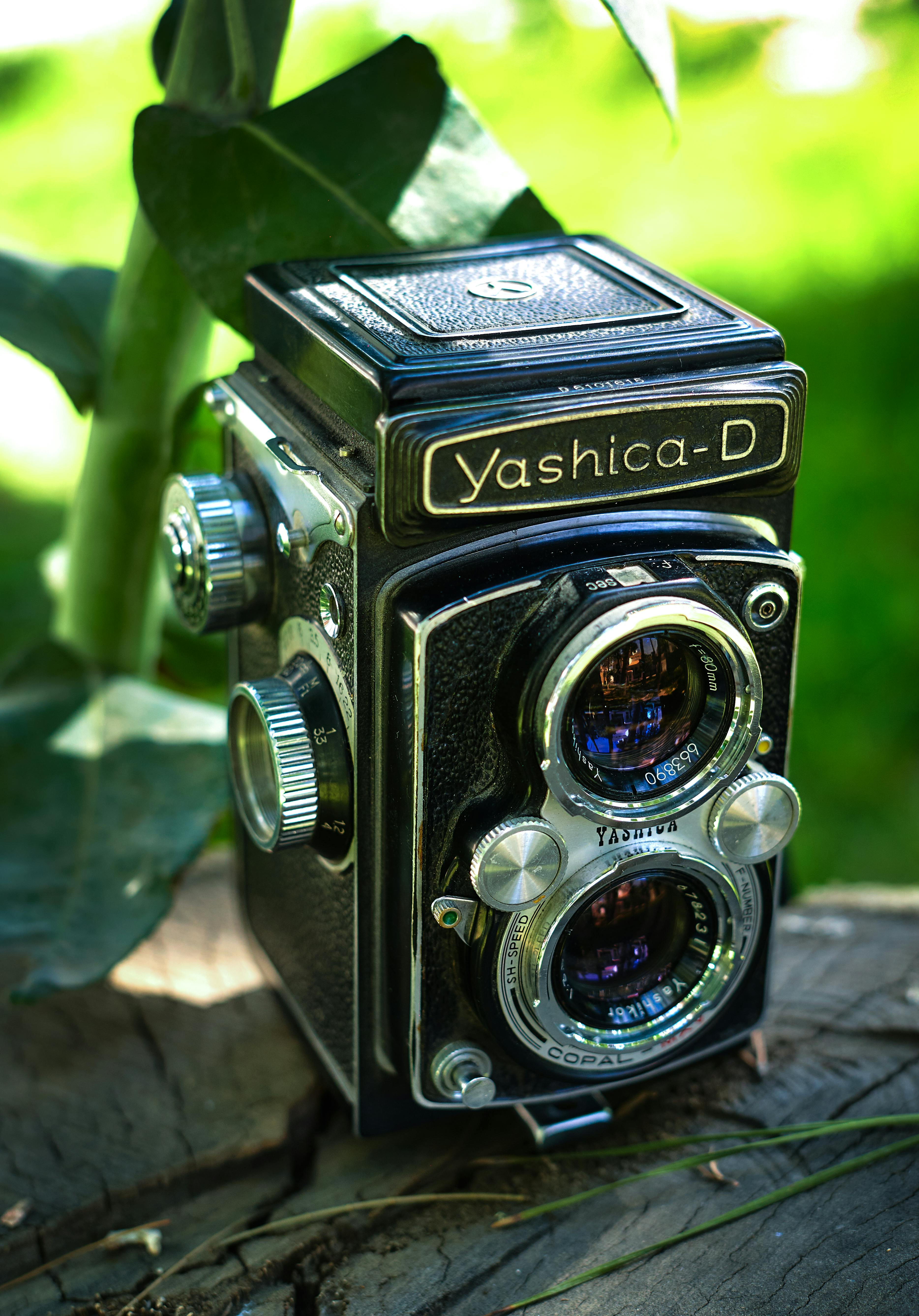 Close-up shot of a vintage Yashica-D camera placed outdoors against a green backdrop.