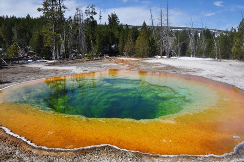 Free Colorful hot spring with vibrant hues in Yellowstone National Park. Stock Photo