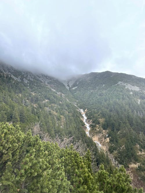 Landscape of a Mountain Covered with Green Trees