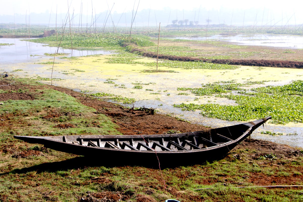 비즈니스클래스 업그레이드 받는 법