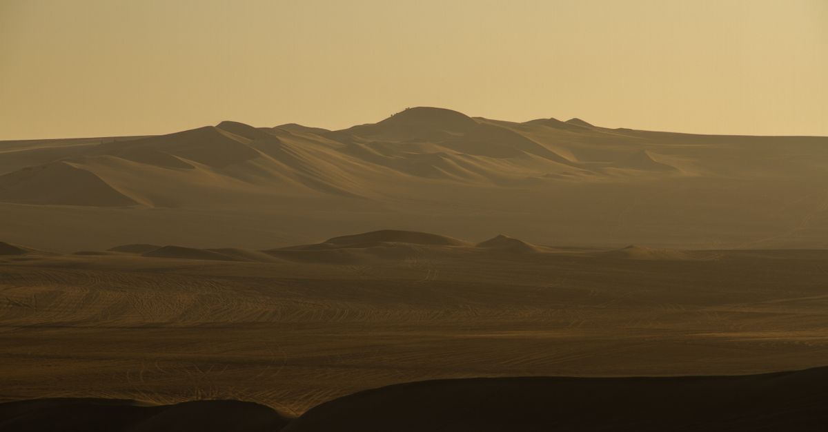 Vida en condiciones extremas: 8 desiertos y ambientes donde se encuentra vida Vida en condiciones extremas: 8 desiertos y ambientes donde se encuentra vida