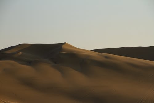 Darmowe zdjęcie z galerii z jałowy, natura, piasek