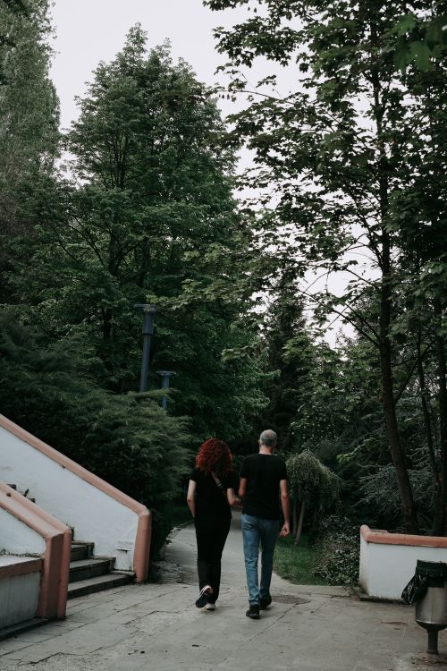 Free A couple walks hand in hand through a tree-lined park with stairs and scenic surroundings. Stock Photo