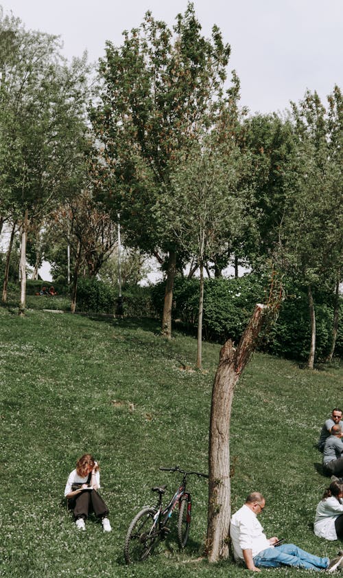 Immagine gratuita di alberi, bicicletta, erba