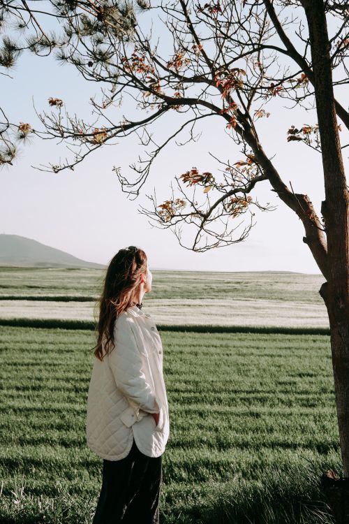 Free Woman in white jacket standing in a spring meadow, looking at a tree under bright daylight. Stock Photo