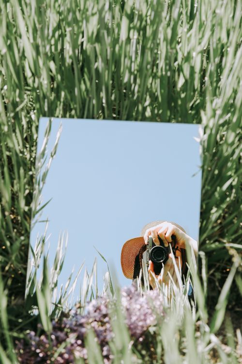 Free A captivating reflection in a mirror placed in a lush field under bright daylight. Stock Photo