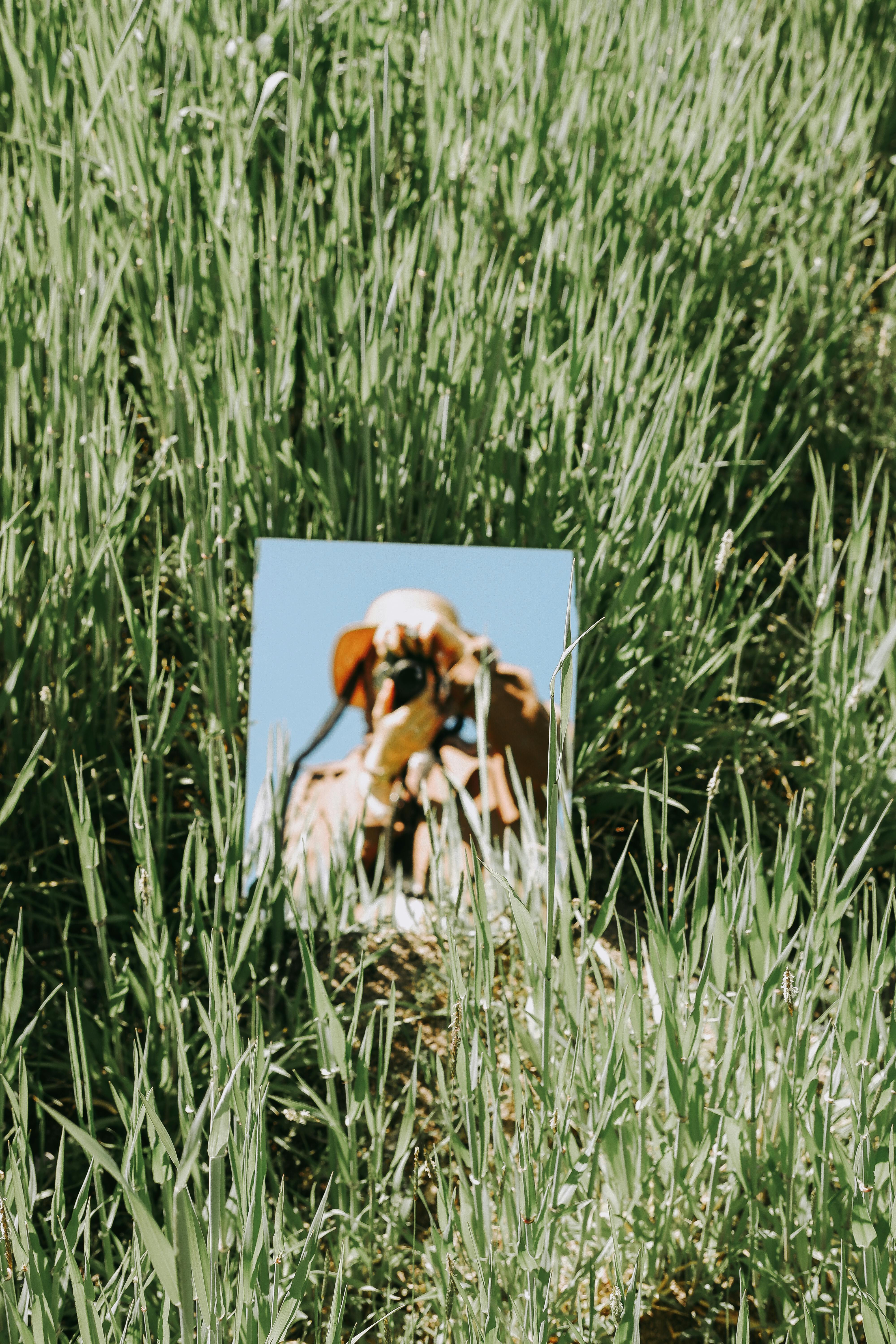 photographer reflecting in a mirror in a green grass filed