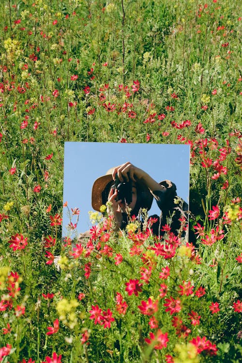 Photographer Reflecting in a Mirror in a Filed with Red Flowers