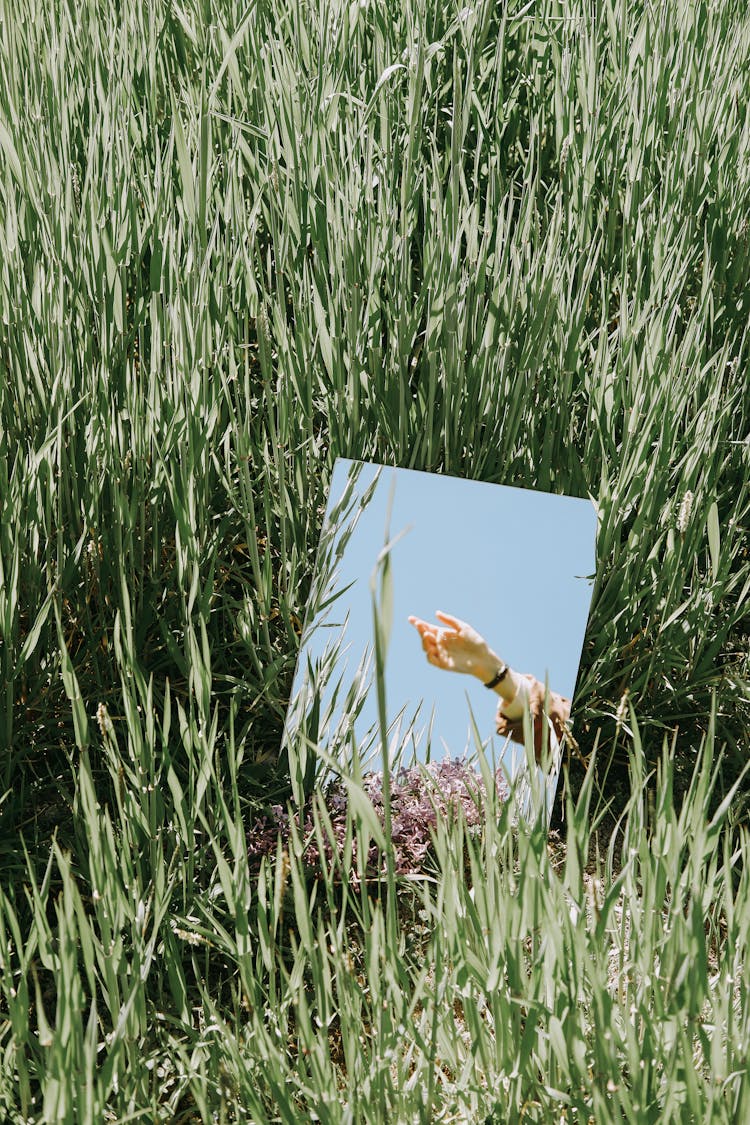Hand Reflecting In A Mirror In A Green Grass Field
