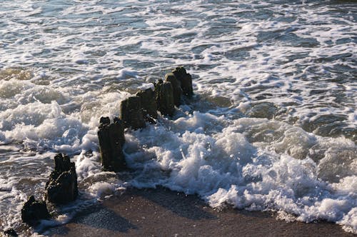 Бесплатное стоковое фото с вода, волна, волнорез