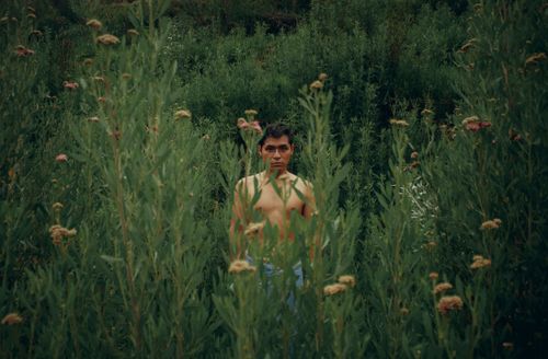 Free Shirtless man standing amidst dense, lush green plants in an outdoor setting. Stock Photo