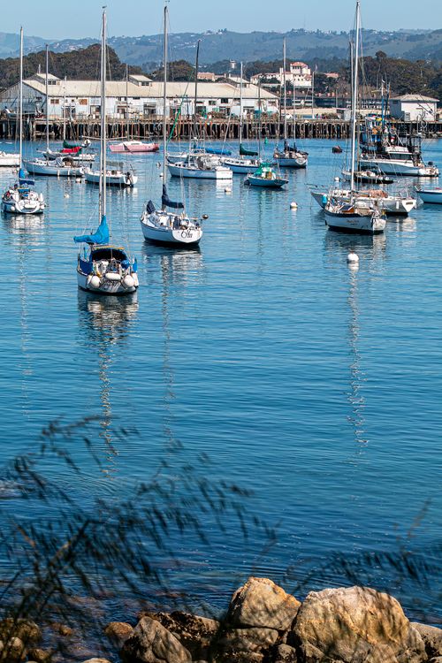Free Peaceful scene of sailboats anchored at a harbor with a distant pier and blue sky. Stock Photo