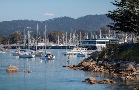 Monterey, United States photo 10