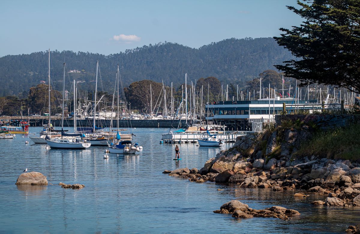 Sailboats moored in Monterey Bay harbor, wooded hills behind.