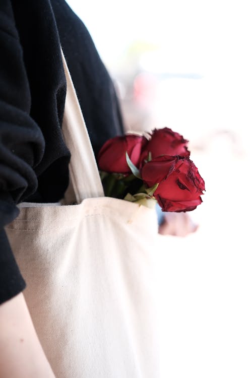 Free Close-up of Red Roses Sticking out of a Tote Bag  Stock Photo