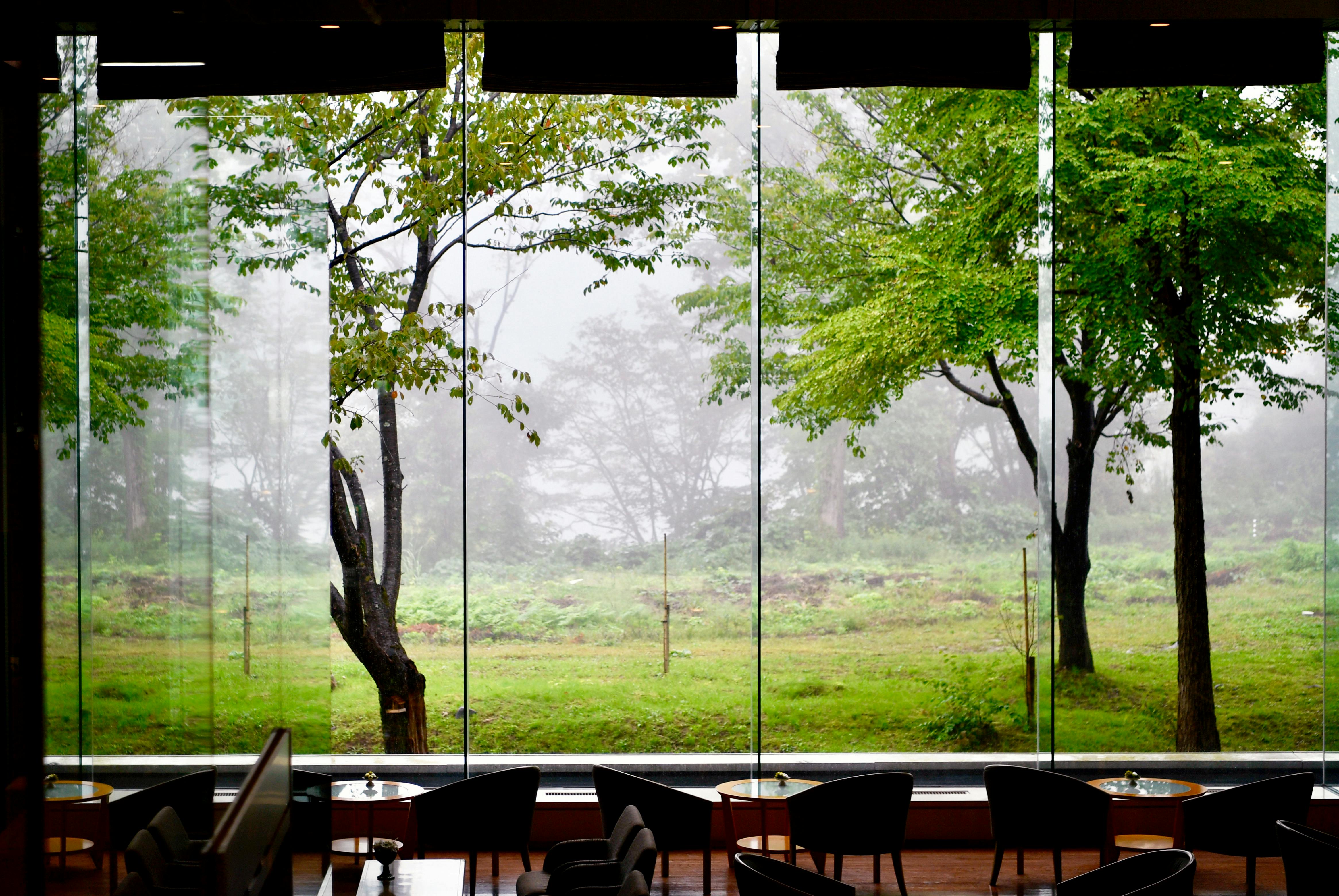 Serene misty landscape seen through glass windows of a cafe in Toyama, Japan.