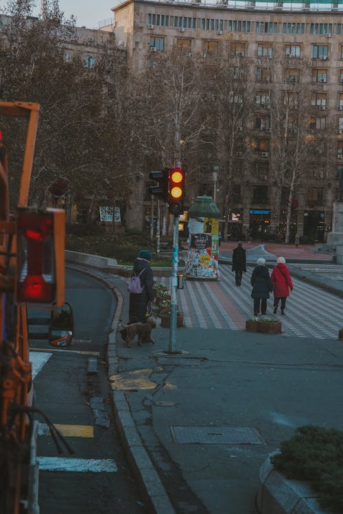 Základová fotografie zdarma na téma provoz, semafory