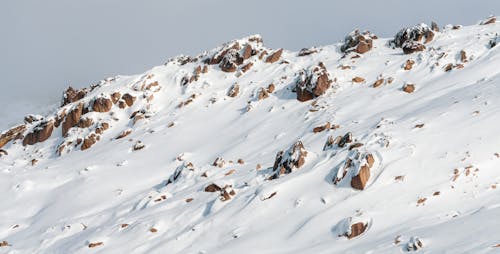 Foto profissional grátis de colina, com frio, inverno