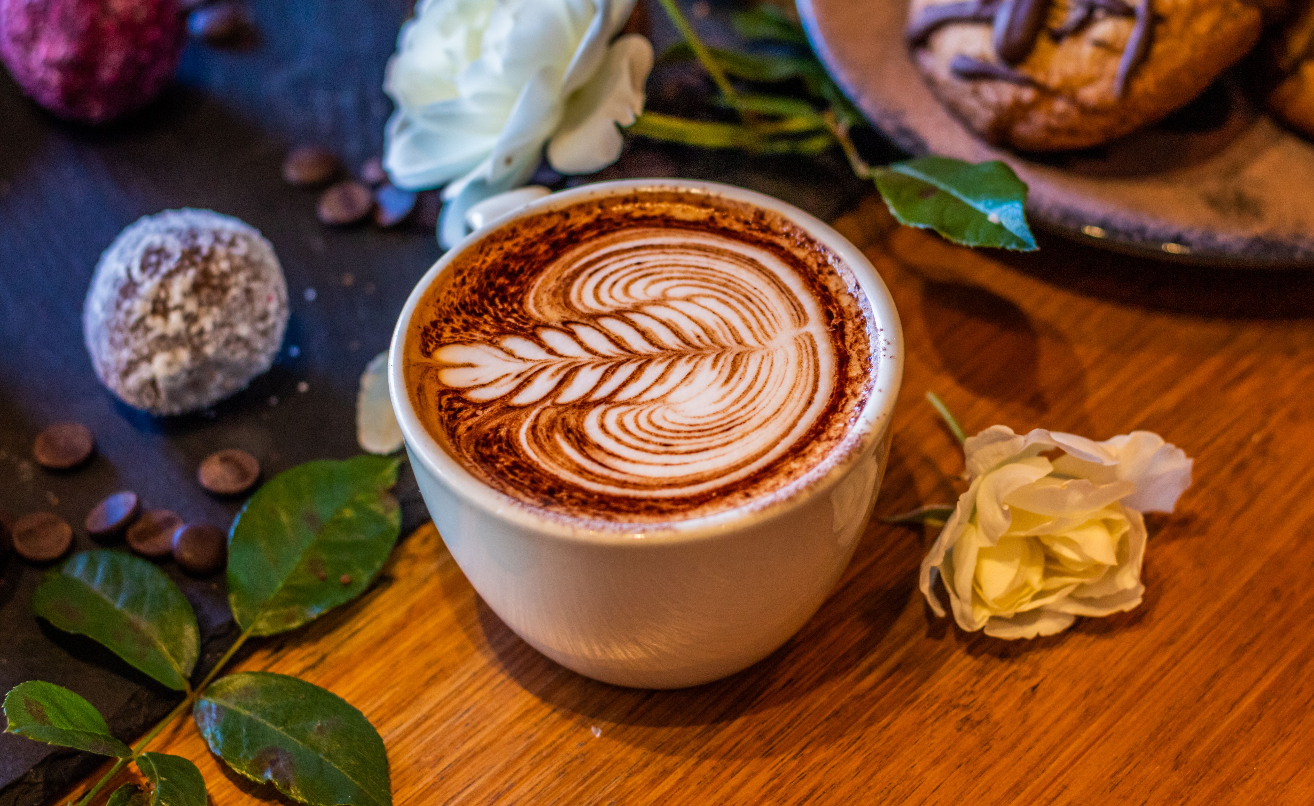 Rose Latte Photos, Download The BEST Free Rose Latte Stock Photos & HD  Images
