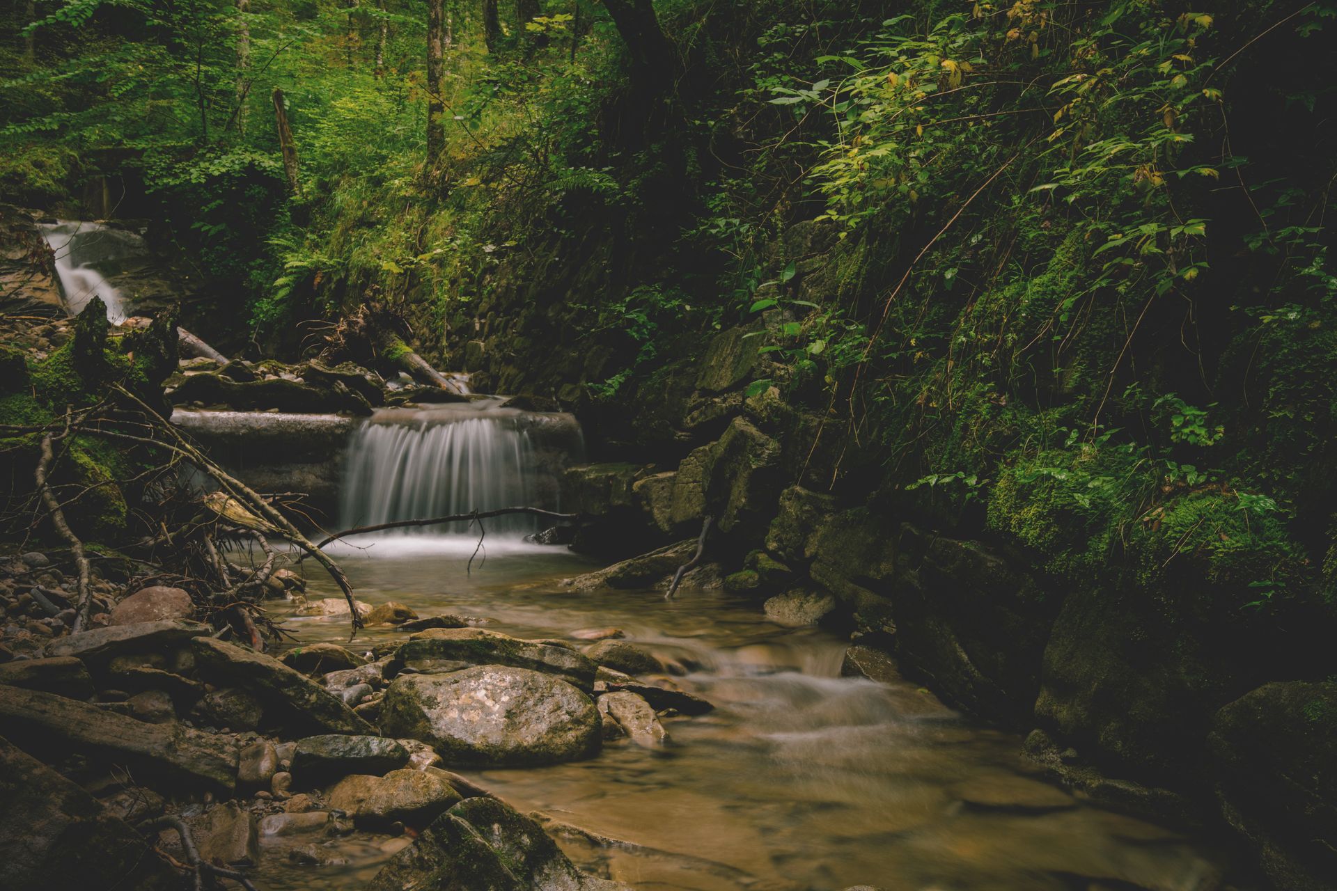 Forest and Water Falls Landscape Photo