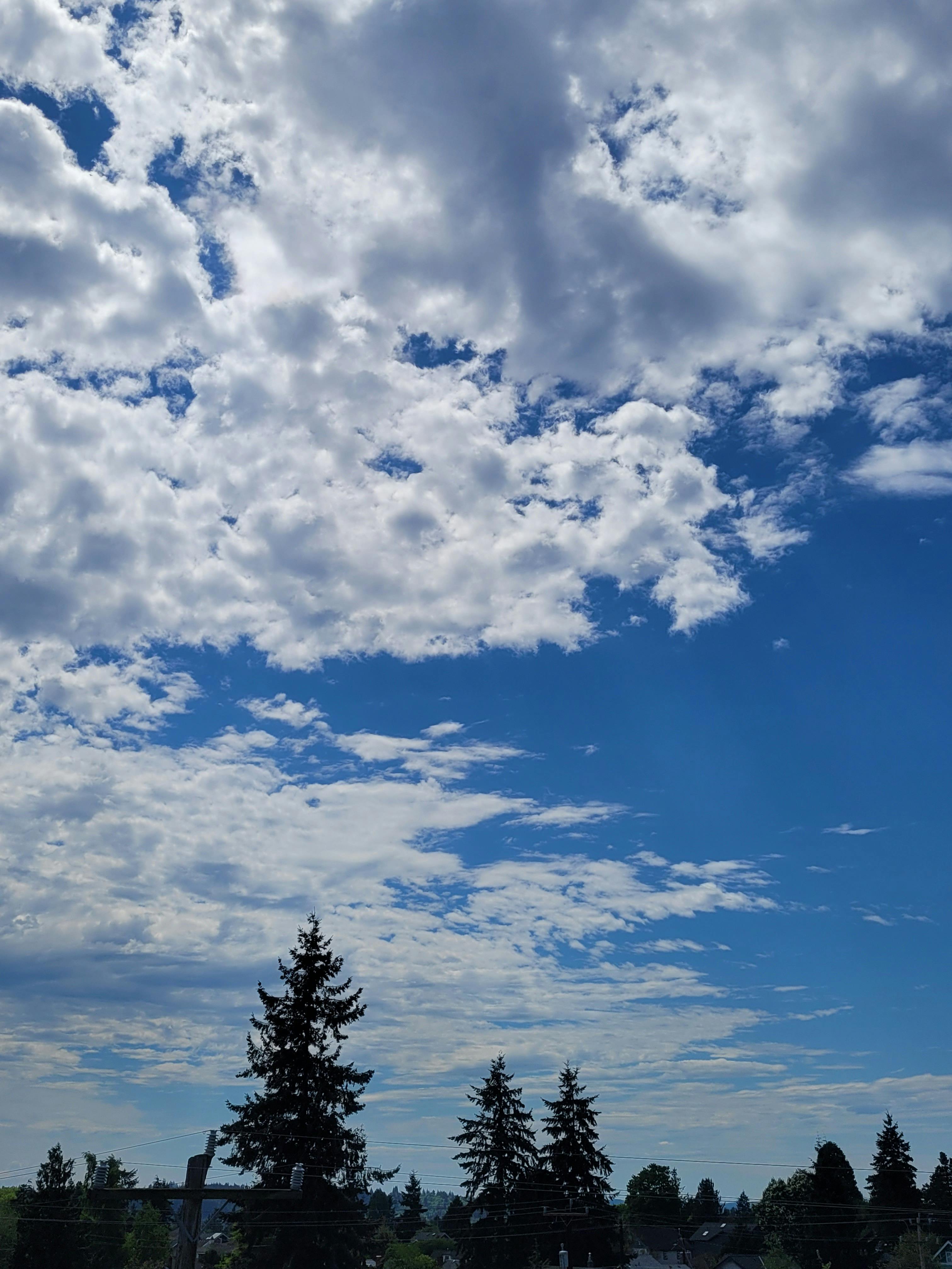 Server Rack Management