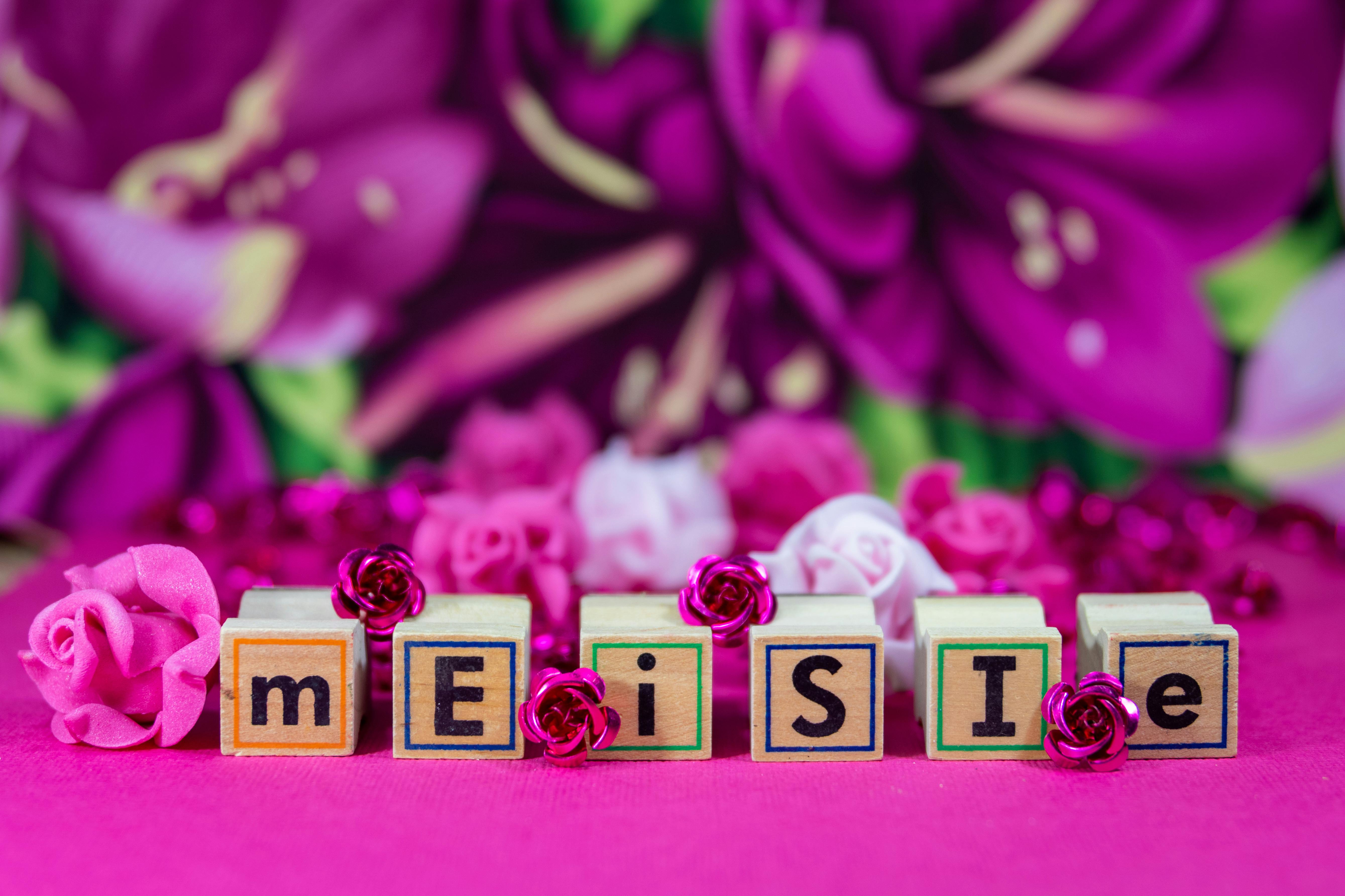 초보운전 보험료