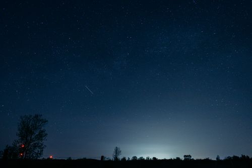 Free A breathtaking night sky full of stars with a visible shooting star and tree silhouettes. Stock Photo