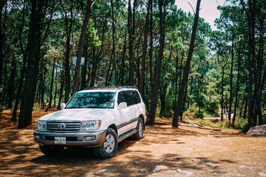 White estate car parked among tall trees on a forest track — photo by Ricky Esquivel on Pexels