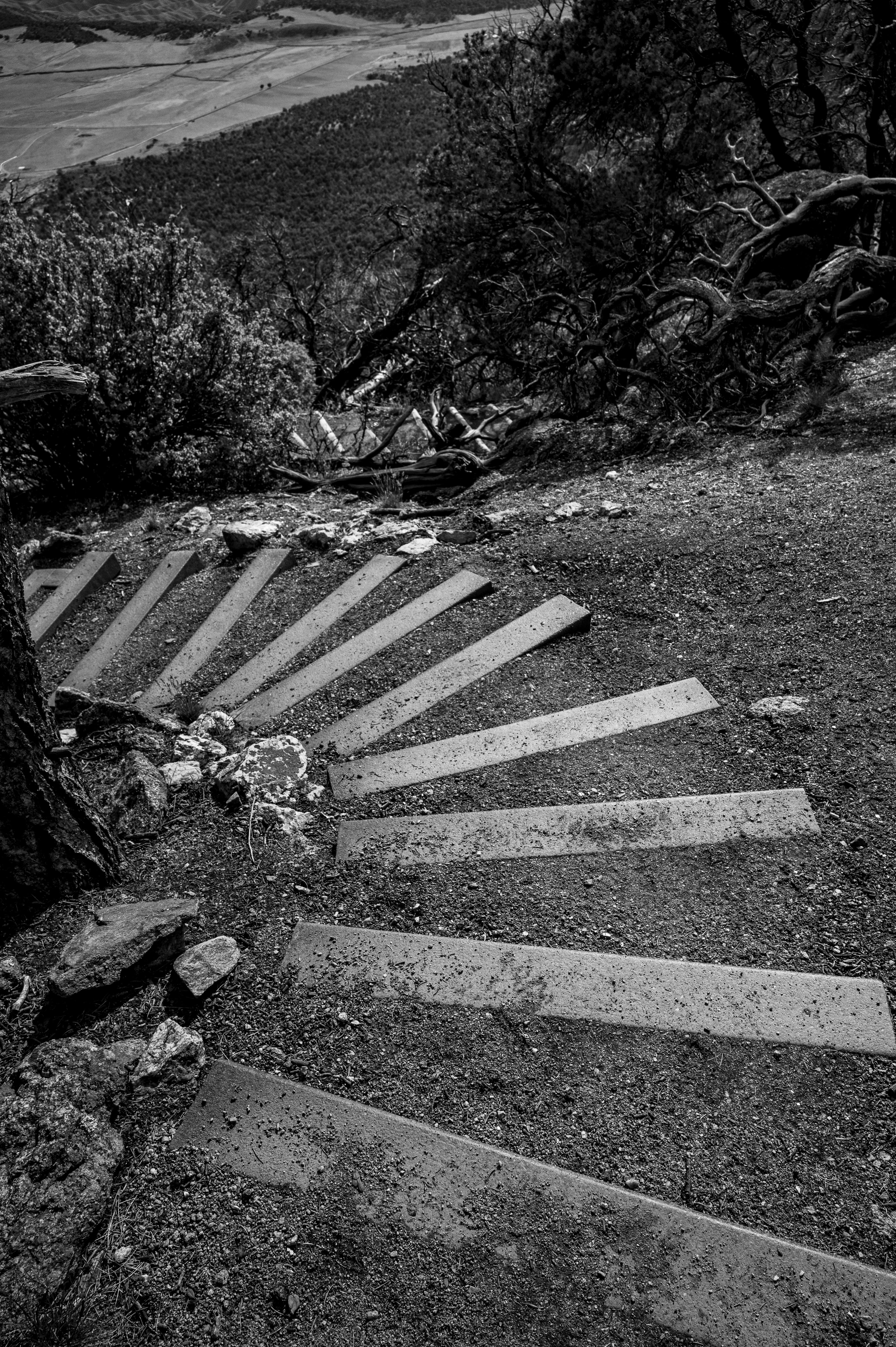Curly Stairs Down Hill · Free Stock Photo