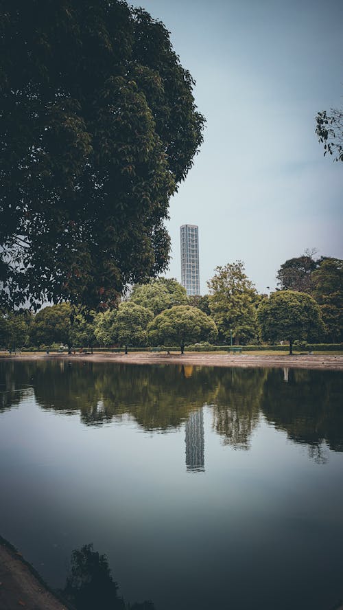 A view of a lake with a tall building in the background