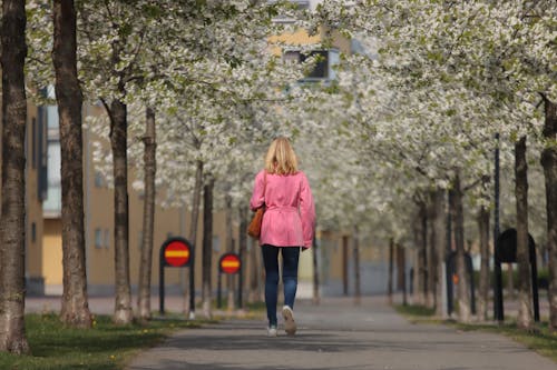 Základová fotografie zdarma na téma blond, chůze, jaro