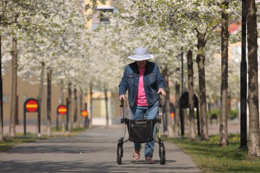 Elderly woman walking with a walker through a tree-lined park in springtime Jönköping, Sweden.