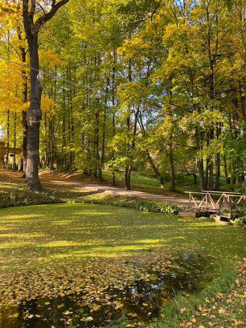Free A serene autumn landscape featuring a footbridge over a pond surrounded by colorful trees in a park. Stock Photo