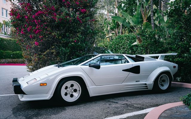 Photo by Shots by Sandhu on Pexels Photo by Shots by Sandhu on Pexels