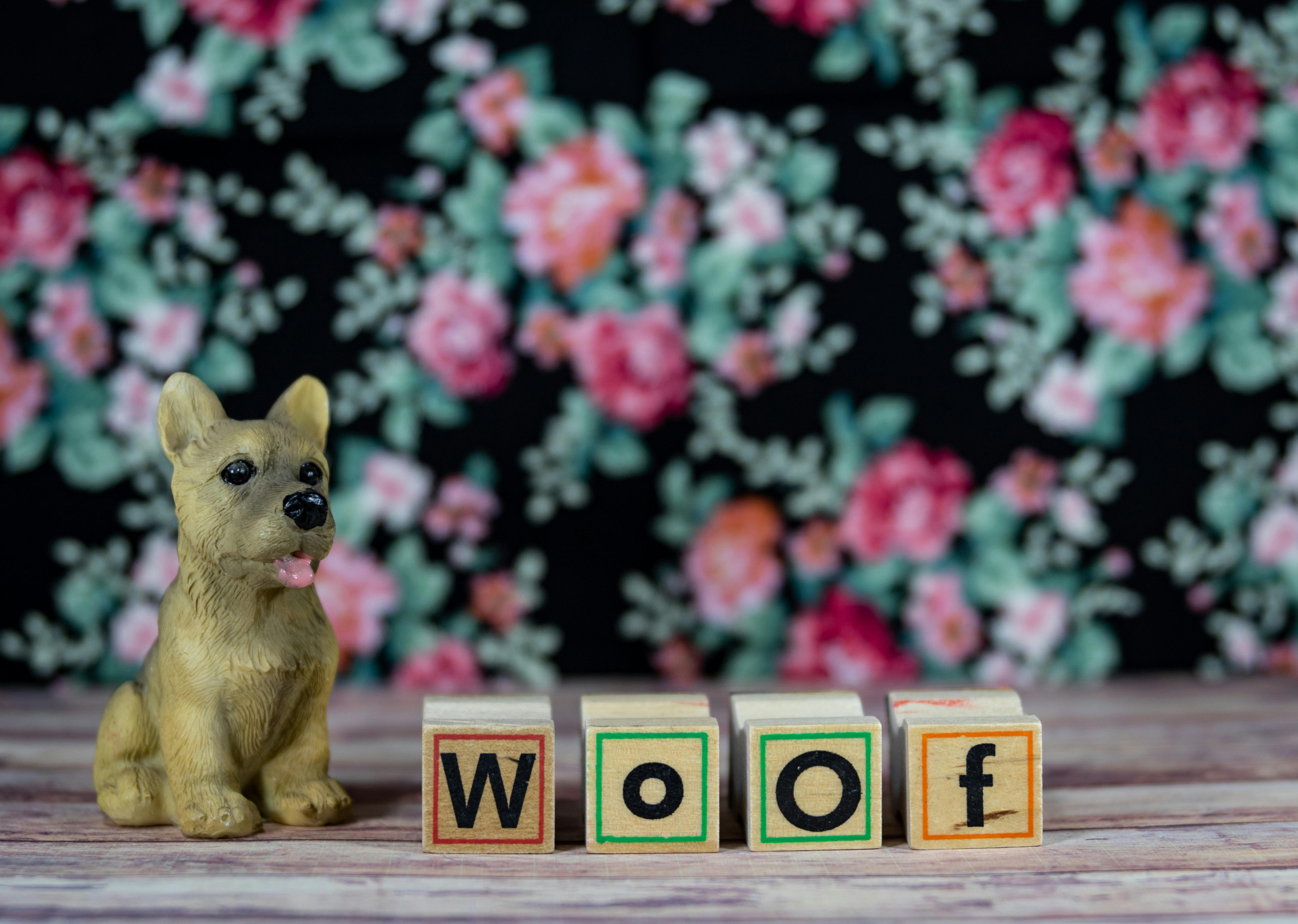 Free stock photo of animals, background, bark