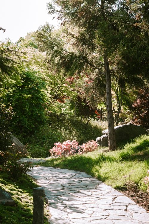 Free A peaceful stone path winds through lush greenery and trees in a sunlit park. Stock Photo