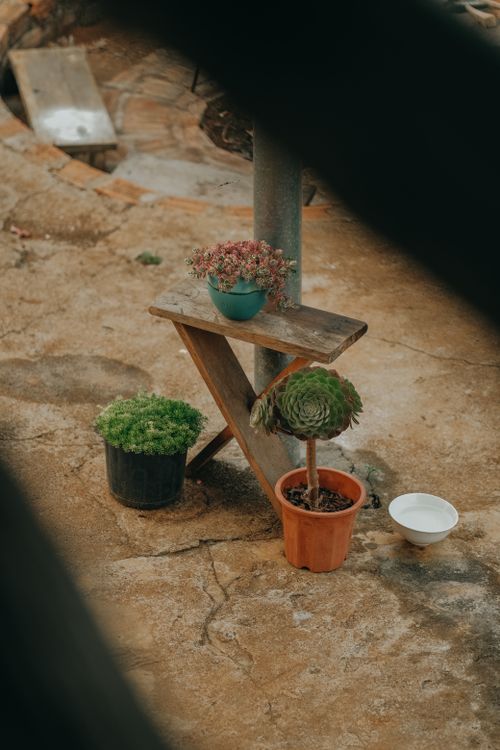 Free A rustic garden setting featuring a small bench and various potted succulents outdoors. Stock Photo