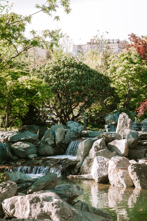 Free A serene waterfall surrounded by lush greenery in Краснодар, Россия, showcasing natural beauty. Stock Photo