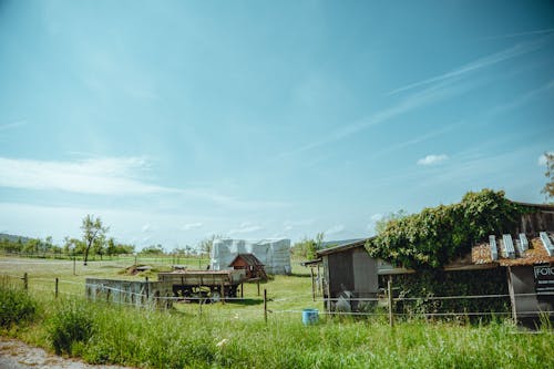 Farm in Countryside