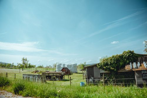 Free Idyllic rural landscape of a farm in Thüngersheim, Germany during a sunny day. Stock Photo