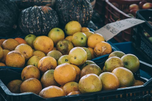 Foto De Frutas Naranjas En Bandejas