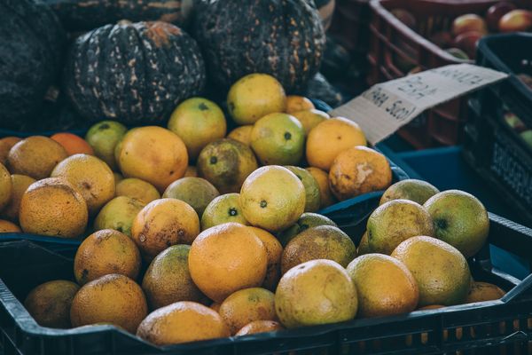 Local Market Visit