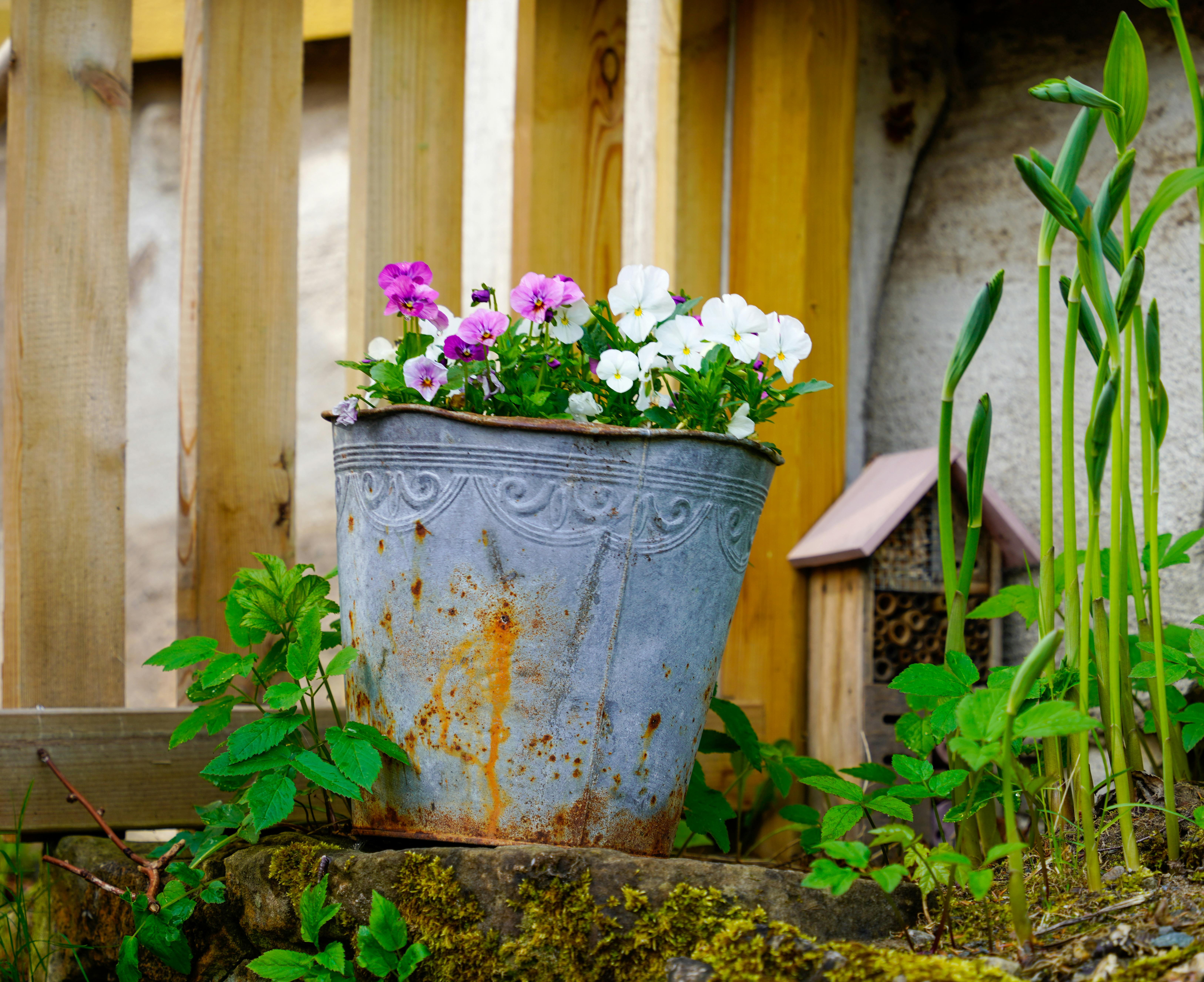 gardening ideas — Photo by Damir K . on Pexels