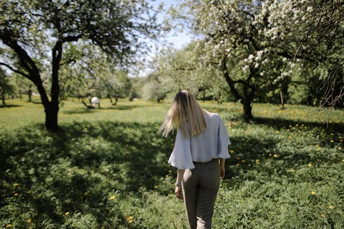 Základová fotografie zdarma na téma farma, hřiště, jaro
