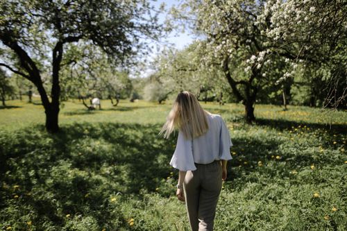 Free A woman with blonde hair walks through a lush, blossoming orchard in the spring. Stock Photo