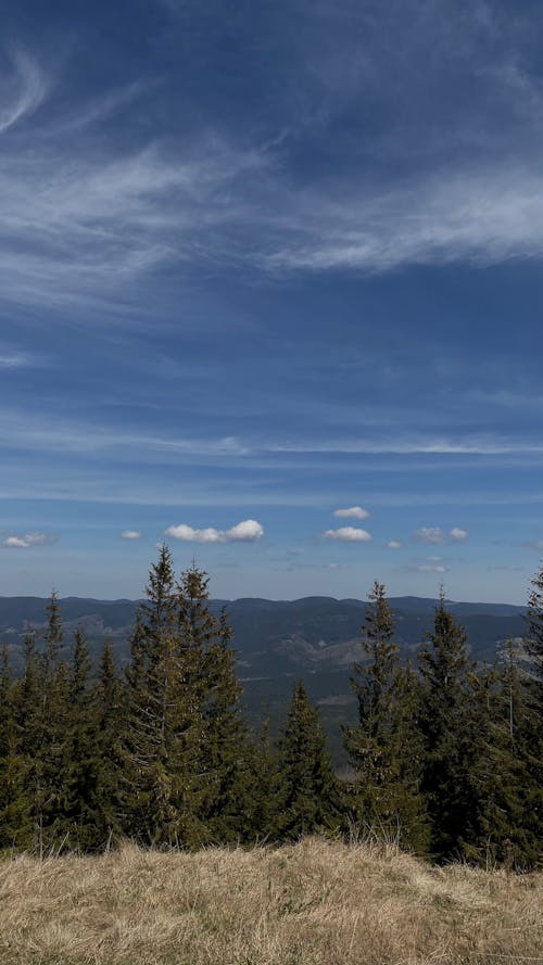 Vertical Panorama of a Mountain Landscape