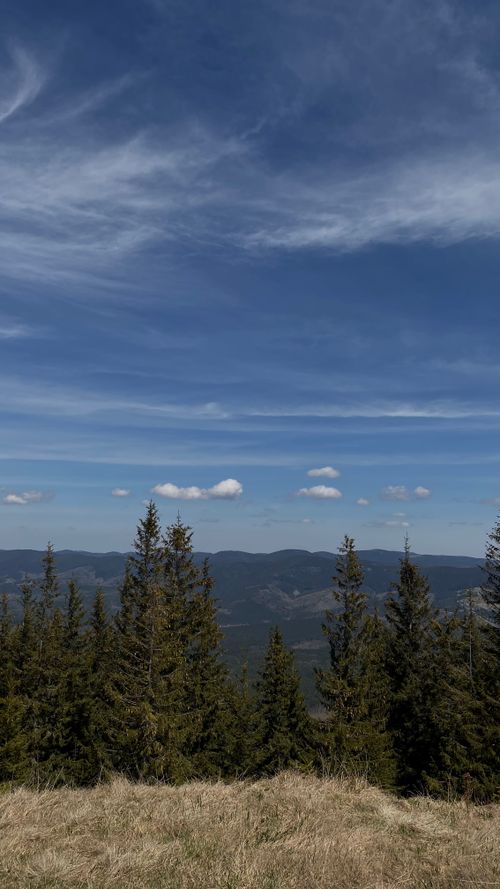 Free Stunning panoramic view of a mountainous landscape with dense coniferous forest under a clear blue sky. Stock Photo