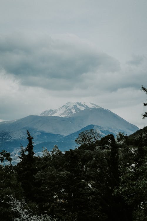 Foto stok gratis alam, biru, hiking